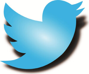 Logo Twitter 2